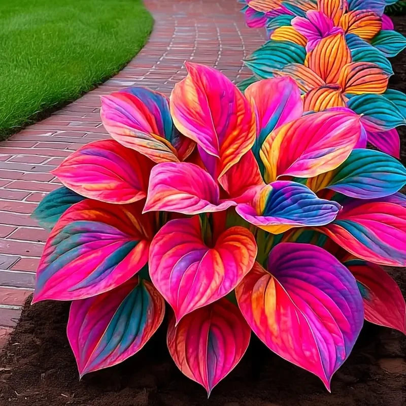 /69d623f528b0560009dbc115/2026/04/14/product-img-69ddededf707c0639afa4739.png